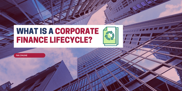 What is a Corporate Finance Lifecycle?